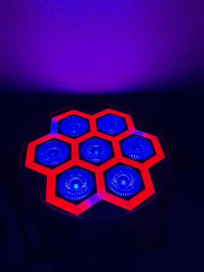 Light4Me Frame PAR – LED-Scheinwerfer für Bühnen & Events